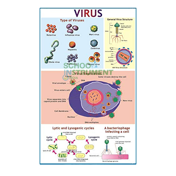 Virus Chart, Botany